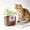 Mint Green, variant on Pet Food Storage Container,Airtight Moisture-Proof Bin with 250ml Scoop for Dog & Cat Kibble