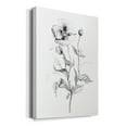 thumbnail image 2 of Wild Poppy Sketch Premium Gallery Wrapped Canvas - Ready to Hang, 2 of 9