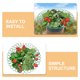 thumbnail image 3 of FOMIYES 5Ud Bastidores Para Cultivo De Fresas En Casa Con Material Duradero Y Fácil Montaje, 3 of 8