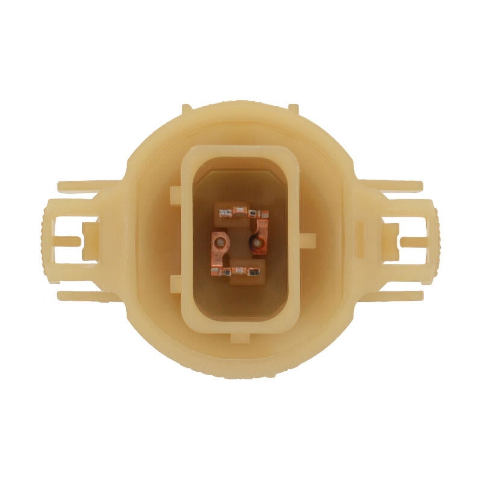 Philips Clear Halogen Fog Lamp Automotive Bulb
