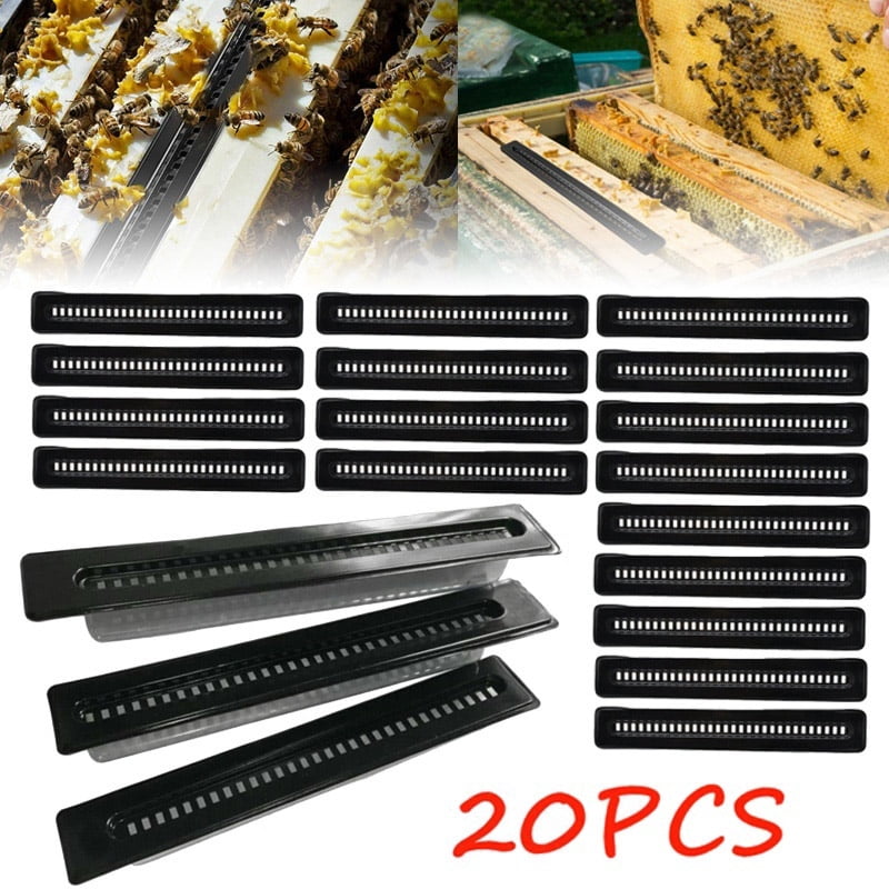 10x Reusable Hive Beetle Blaster Beekeeping Insects Trap for Beekeeper Tool 