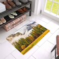 thumbnail image 3 of MKHERT Landscape Yosemite National Park Valley at Cloudy Autumn Morning Doormat Rug Home Decor Floor Mat Bath Mat 23.6x15.7 inch, 3 of 3