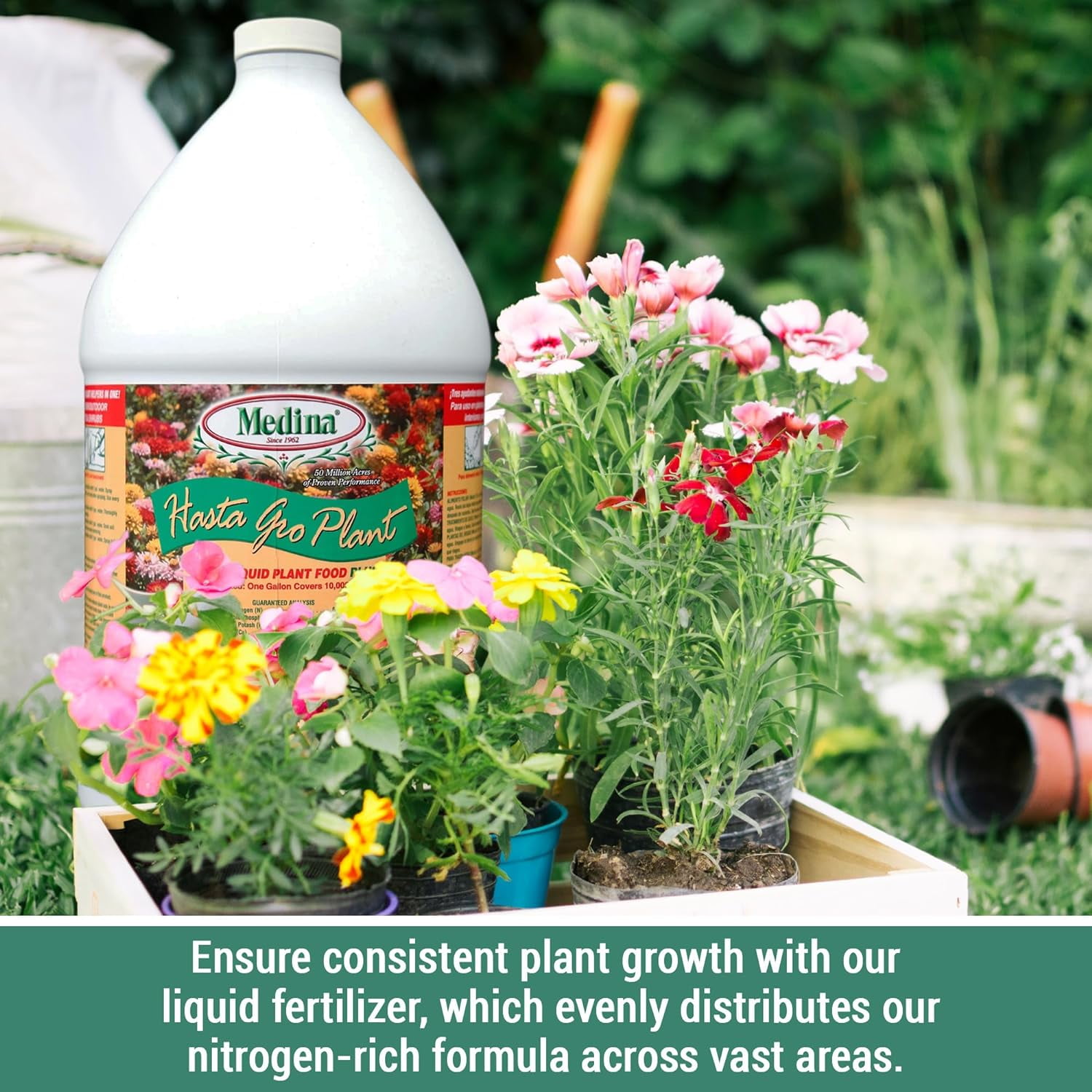 Medina Hasta Gro Plant Food Plus Fertilizer 6-12-8, 1 gal.