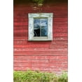 thumbnail image 2 of Wilson, Emily M. 11x14 Black Ornate Wood Framed with Double Matting Museum Art Print Titled - Latah-Washington State-USA-Window on the wall of an old red barn, 2 of 4
