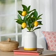thumbnail image 2 of Mainstays by Becky G. & Alejandra 14.5" Artificial Lemon Tree in White Ceramic Vase, 2 of 8