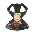 thumbnail image 4 of Lsque Butterfly Cow Barrel Dog Harness, No-Pull Pet Harness with 2 Leash Clips, Adjustable Soft Padded Dog Vest with Easy Control Handle for Large Dogs-Medium, 4 of 9