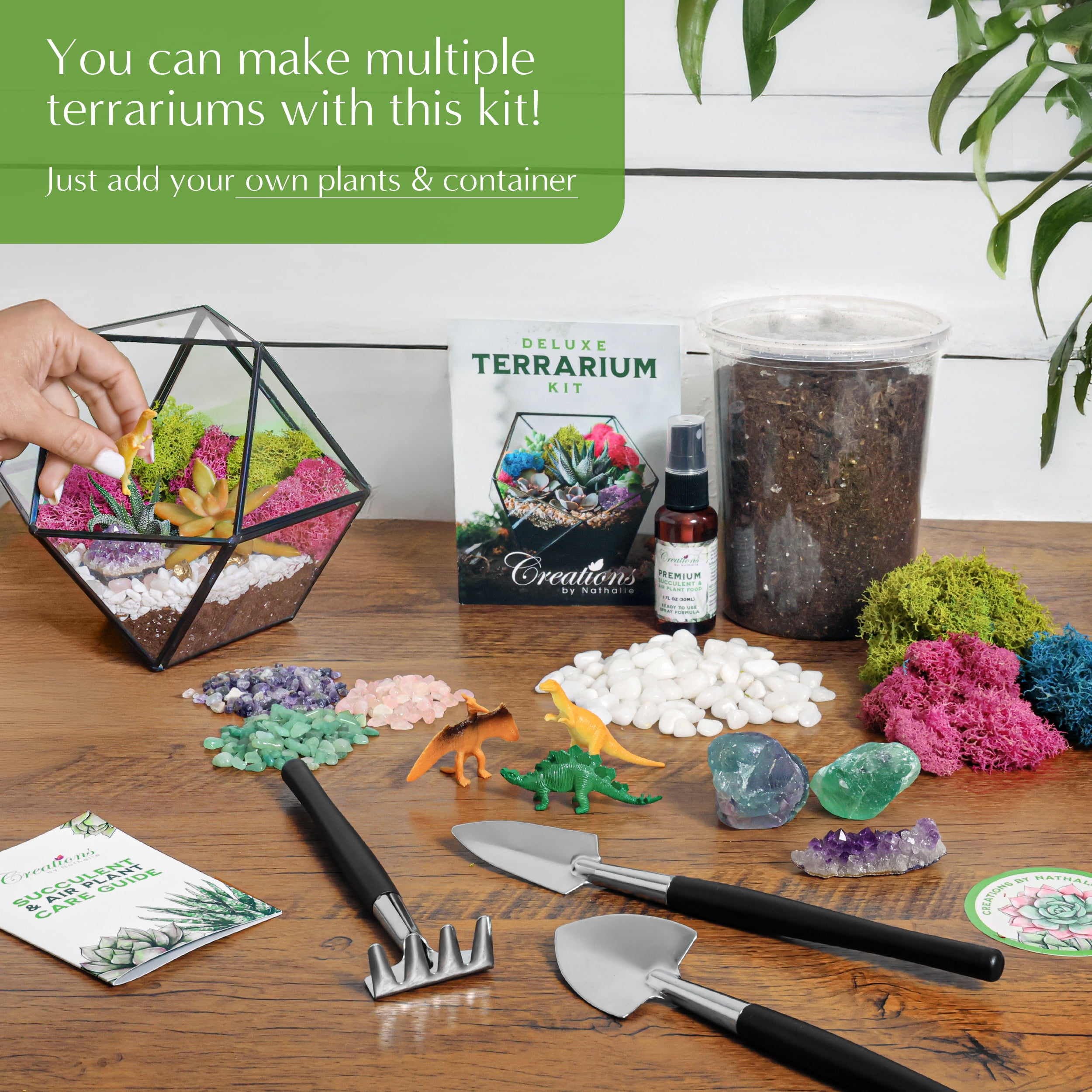 Creations by Nathalie DIY Terrarium Kit - For Succulents, Cacti & More