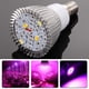 thumbnail image 3 of Bombilla Full Spectrum 28W E14 LED Grow Light AC85-265V LED Growing Lamp Plant Light Lamparas, 3 of 9
