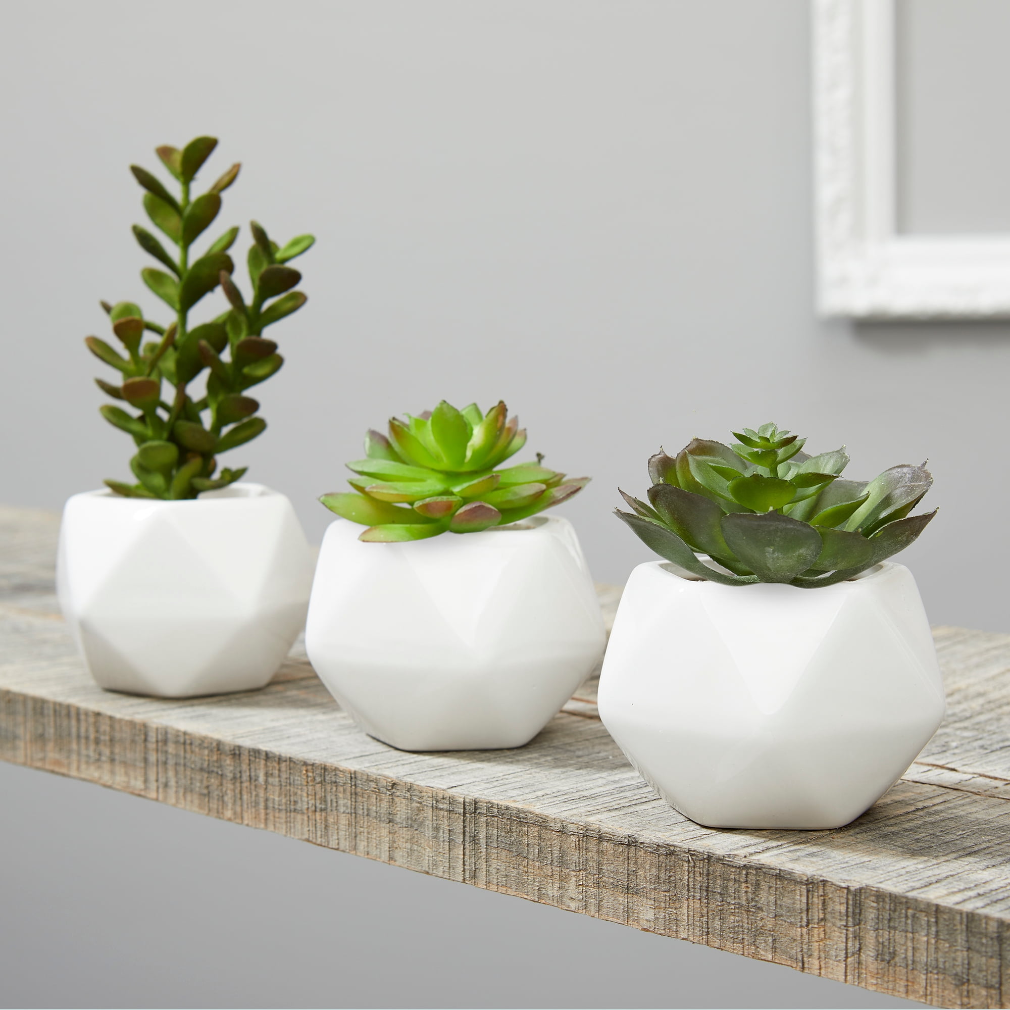 (2 pack) Mainstays Artificial Succulent Pick 3.25 inch x 4.75 inch Green Echeveria