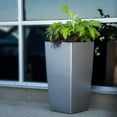 thumbnail image 5 of Algreen Self Watering Modena Square Planter, 5 of 6