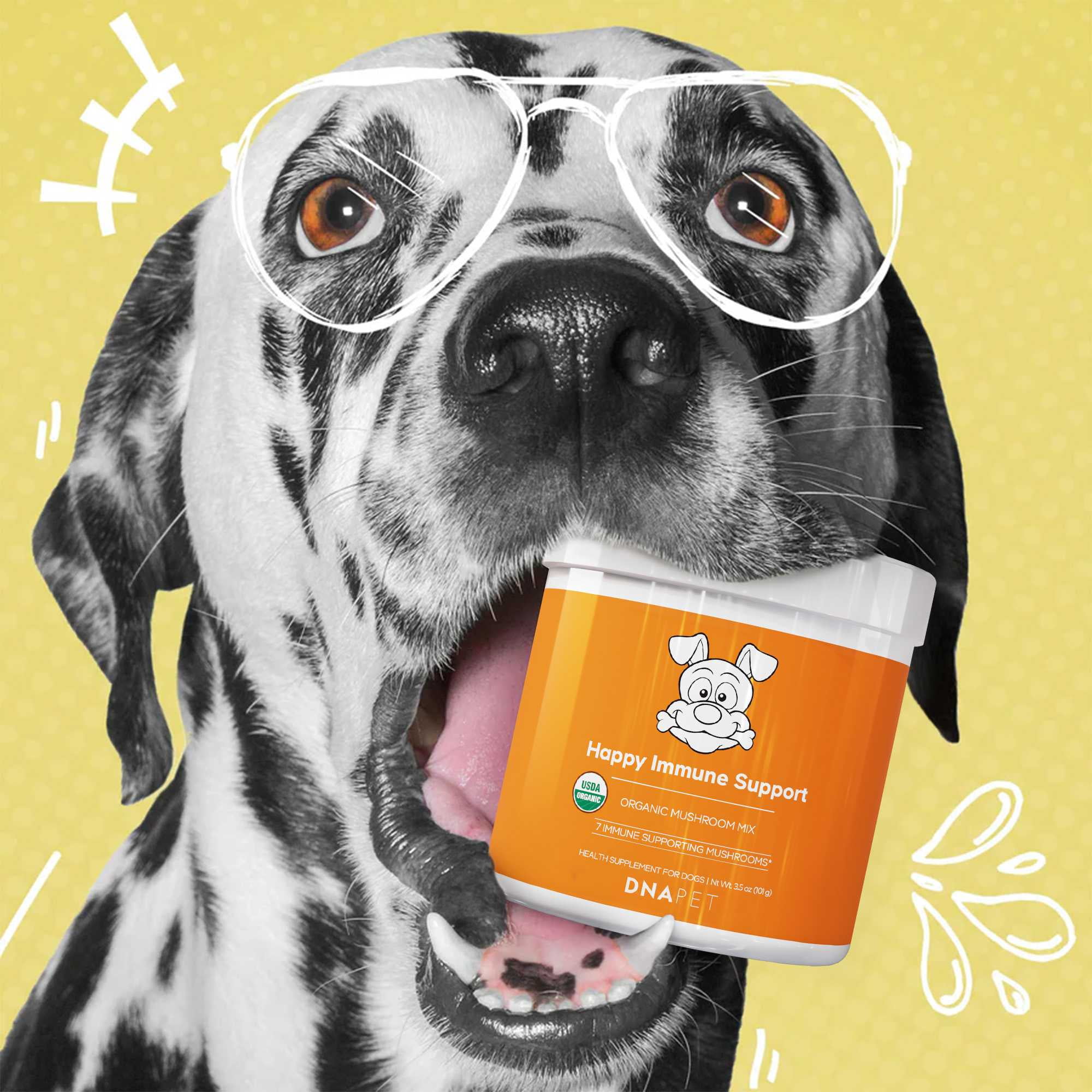 DNA PET Happy Immune Support USDA Certified Organic Mushroom Powder for Dogs, Immune Support Mix, 3.5 oz