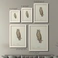 thumbnail image 4 of Scops- Eared Owl - Premium Framed Canvas 2 Piece Set - Ready to Hang, 4 of 7