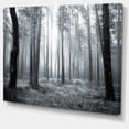 thumbnail image 3 of DESIGN ART Designart "Black and White Foggy Forest" Modern Forest Canvas Wall Artwork Print 32 in. wide x 16 in. high - 1 Panel, 3 of 5