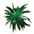 thumbnail image 3 of Aprox. 200Pcs Tenio la Pluma Verde del Gallo de la Decoracion, 3 of 5