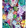 thumbnail image 1 of Cuadros Decorativos Suculentas 40x50cm pintura al óleo por números cuadro pintura DIY M682 Likrtyny embutido en tela, 1 of 9