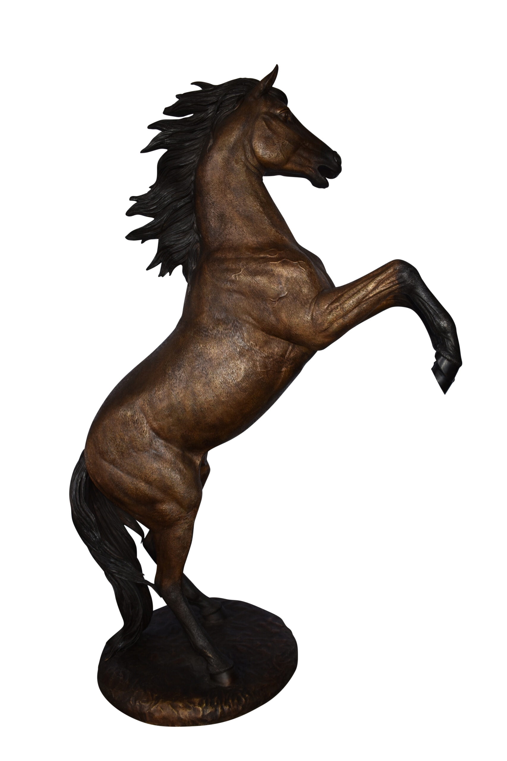 Life-Size Bronze Rearing Horse Statue with Detailed Finish
