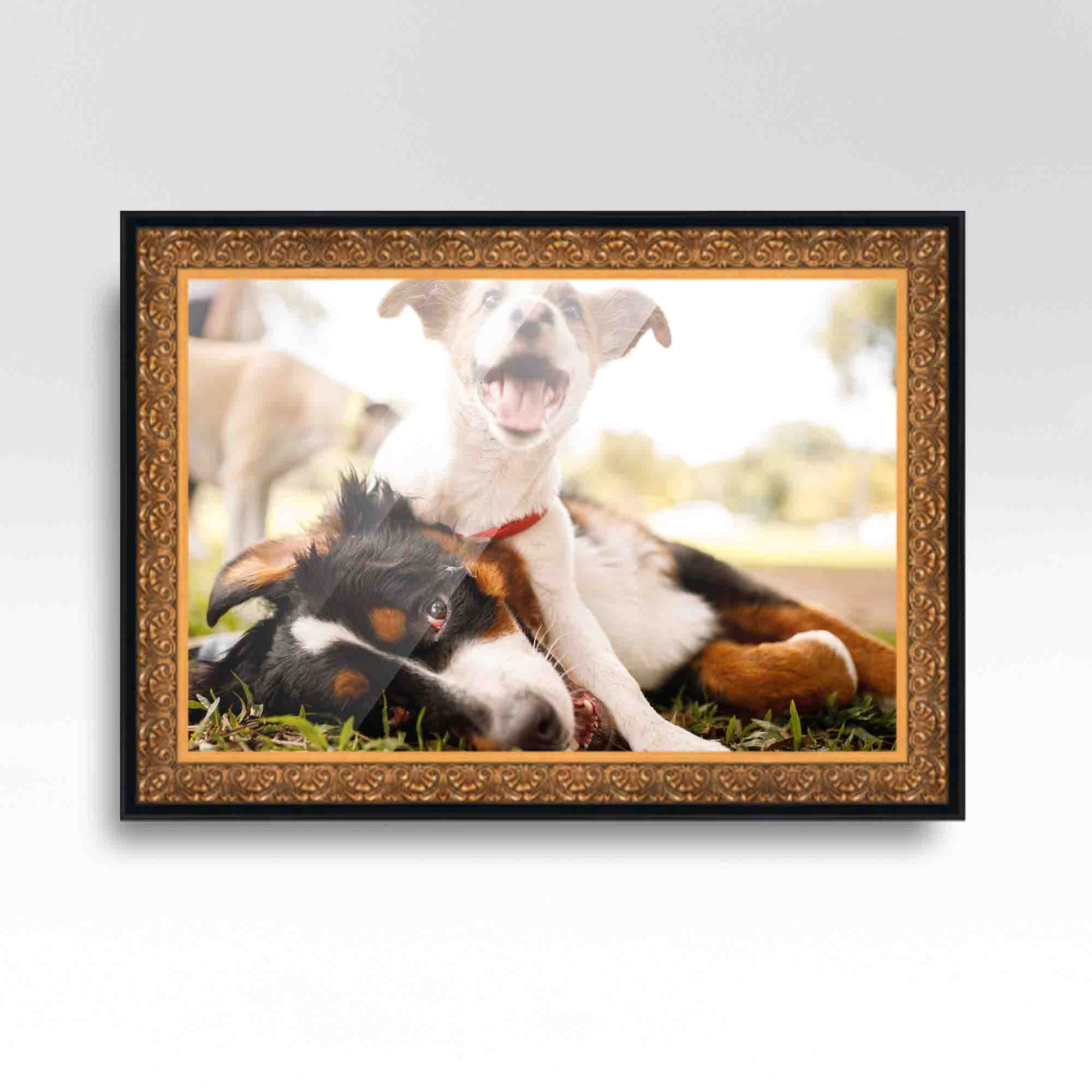18x24 Frame Gold Real Wood Picture Frame Width 1.75 inches | Interior Frame Depth 0.5 inches | Da