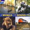 World Of Sound Fx