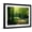 Black Frame, variant on Art.com Track Leading Through Lanhydrock Beech Woodland with Bluebells in Spring, Cornwall, UK Photographic Print by Ross Hoddinott, 32" x 24"