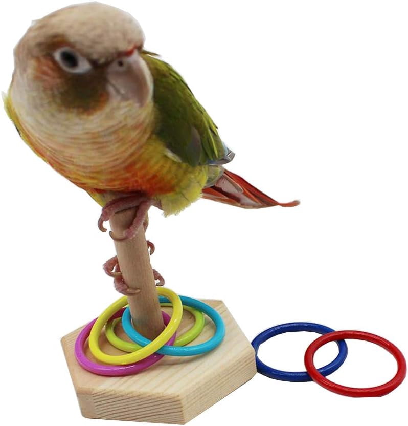 Bird Toys - Training Toys, Color Ring Sets, Chew Ball & Play Gym