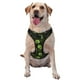 thumbnail image 1 of Fotbe Skulls And Cobwebs Arnés para Perro con Estampado –Chaleco Ajustable Acolchado con Asa de Control para Perros Grandes-Small, 1 of 6