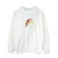 thumbnail image 1 of DC Comics Chandail en Molleton Logo Flash Lightning pour Hommes, 1 of 4