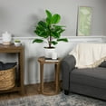 thumbnail image 2 of Northlight Two-Tone Calathea Artificial Potted Plant - 30", 2 of 6