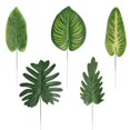 thumbnail image 1 of Simulación de hoja de sandía, planta artificial, material de arreglo floral para pared, marco de escalada para gatos, simulación de decoración Canna, 1 of 5