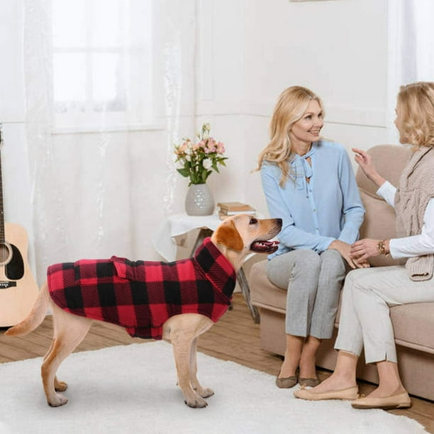 Dog coat with leash clearance hook