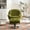 Green, variant on JINS & VICO Velvet Swivel Accent Chair,Modern Lounge Chair with Metal Base Frame & Footrest,Comfortable Single Leisure Sofa Chair Reading Chair with 360 Degree Swiveling for Living Room,Green