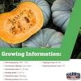 thumbnail image 2 of Harris Seeds - Pumpkin Jarrahdale Treated Winter Squash Ornamental Non-GMO - 1lb, 2 of 7