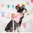 thumbnail image 5 of Pet Artist Warm Dog Harness Leash Set Soft Plush Neck Puppy Vest With Cute Bowtie for Small Dogs, 5 of 11