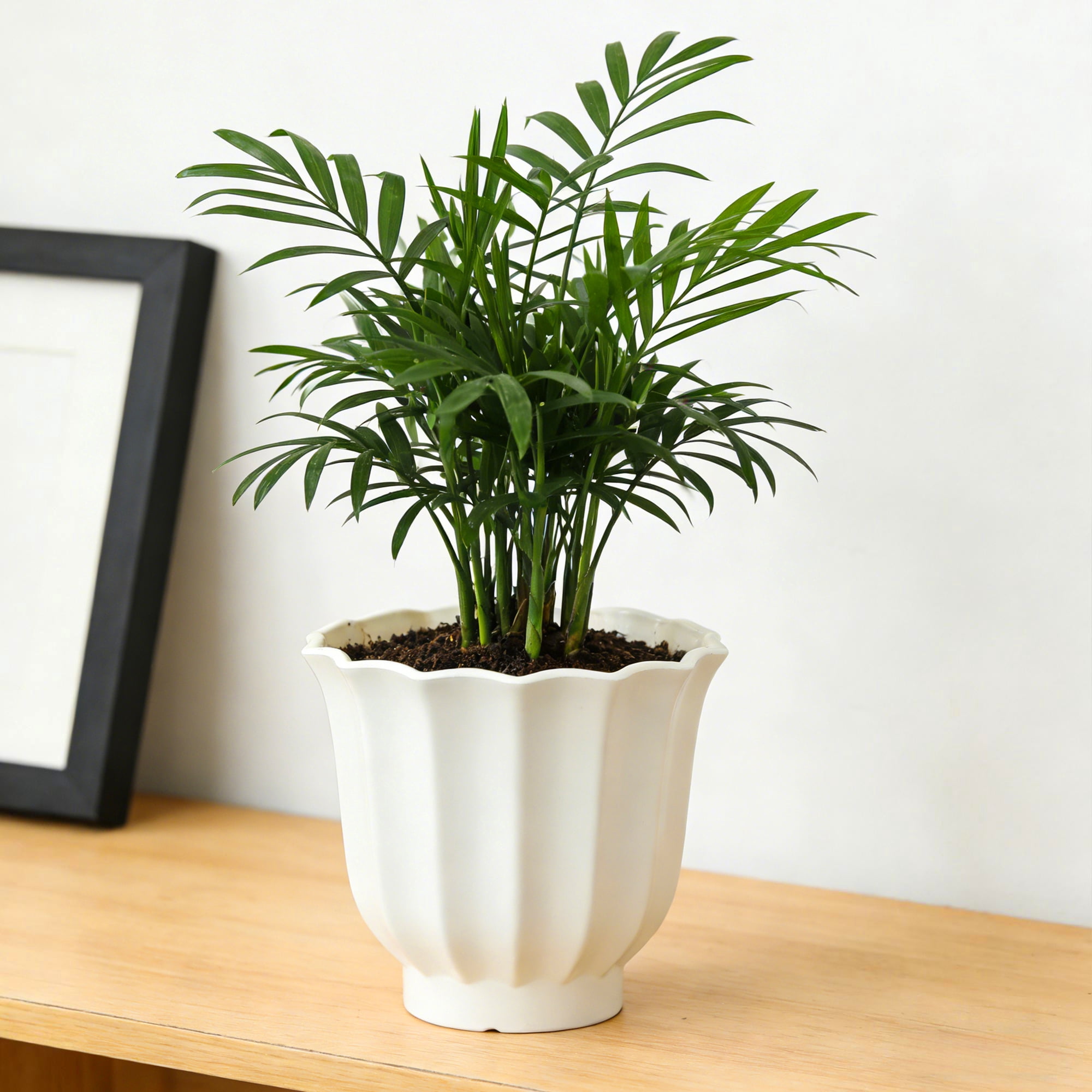 Mainstays Lillian 8" x 8" x 7" Round Vanilla Dream 100% Recycled Resin Planter