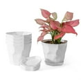 thumbnail image 3 of Plant Pots Set 5pcs Plastic Planters With Trays 12.5*15cm Flower Container For Seedling  Transplanting  Cutting, 3 of 12