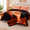 Animal Printed - Tigers-King Size 87x94, variant on Animal Printed - Tiger & Horse King Size 87x94 Raschel Fleece Bed Blanket