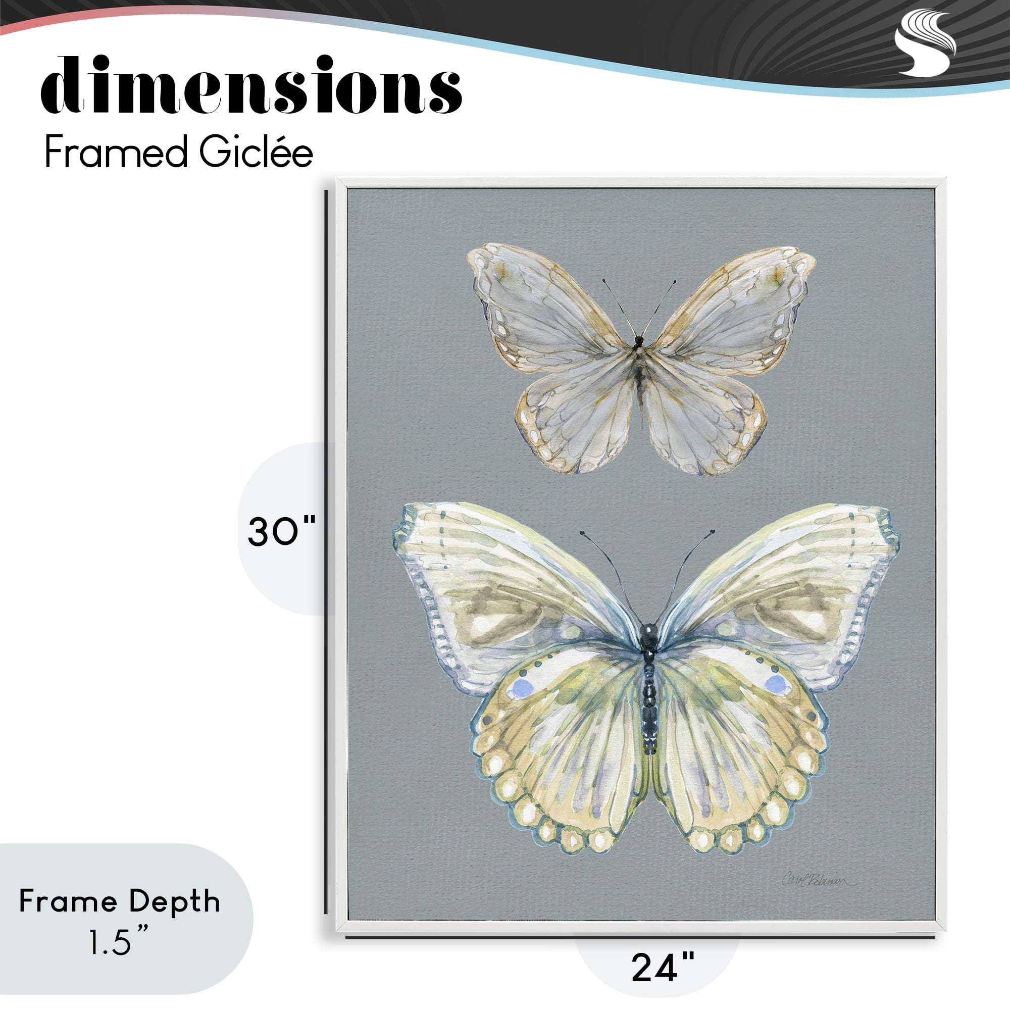 Stupell Industries Butterfly Pair Study White Framed Giclee Art, design by Carol Robinson