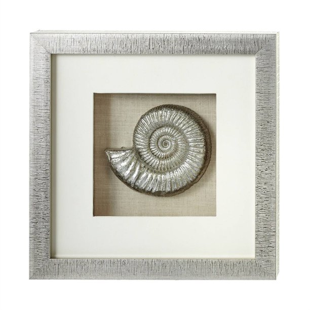 Nautilus Shell Shadow Box Wall Décor