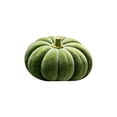 thumbnail image 2 of Fall Rug Mat Retro Autumn Pumpkin Flocking Bathmat 16 x 24 Inch Pumpkin Absorbent Bathroom Rug for Thanksgiving Farmhouse Kitchen Living Room Decoration, 2 of 7