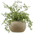 thumbnail image 1 of Bouclair Green Artificial Fern, 1 of 4