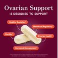thumbnail image 6 of Ovarian Support for Hormone Balance for Women | Healthy Ovulation, Menstrual Cycle & Reproductive Health Support | DIM Supplement with Myo-Inositol & D-Chiro Inositol & Folate Complex | 30 Day Supply, 6 of 11
