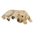 thumbnail image 2 of Large Realistic Sleeping Yellow Labrador Retriever Statue 21"H Golden Retriever, 2 of 10