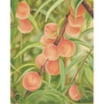 thumbnail image 3 of Sherrill, Kate 15x18 Black Modern Framed Museum Art Print Titled - Peach Perfect, 3 of 5