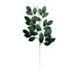 thumbnail image 5 of Advancent 10x Decoración De Plantas No Tóxicas - Para Oficinas Y Salas De Estar Jardín Arreglo Frescura Type3 NO3, 5 of 6