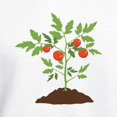 thumbnail image 3 of CafePress - Tomato Plant Hoodie - Pullover Hoodie, Hooded Sweatshirt, 3 of 3