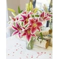 thumbnail image 2 of KaBloom : Bouquet of Fresh 8 Stargazer Lilies, Next-Day Delivery, Gift for all occasions, 2 of 5