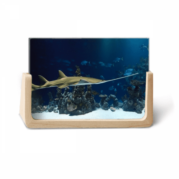Ocean Ray Skate Science Nature Picture Photo Wooden Photo Frame Tabletop Display