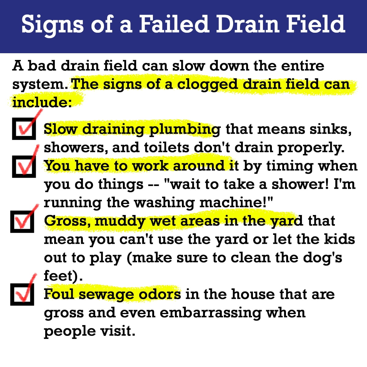 Dr. Pooper's Drain Field Cleaner Tablets -- Total Septic System Cleaner & Odor Eliminator, Accelerator by Dr. Pooper®️