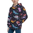 thumbnail image 2 of Lsque Cartoon Dinosaur Patten Youth Hoodie Sweatshirt Pullover with Kangaroo Pocket Boys and Girls Hoodie Warm Hoodie for Kids-X-Large, 2 of 6