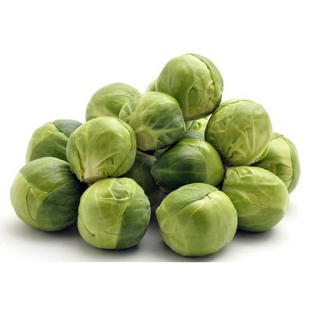 - Jade Cross Brussels Sprouts - 4 Plants - Easy to Grow!
