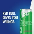 thumbnail image 4 of Red Bull Green Edition Dragon Fruit Energy Drink, 8.4 fl oz, 6 Packs of 4 Cans, 4 of 11